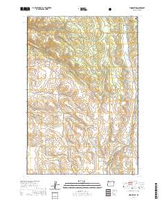 Hicks Spring 2020 topographic map thumbnail