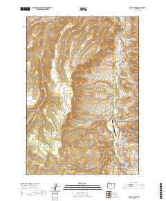Mount Misery 2020 topographic map preview