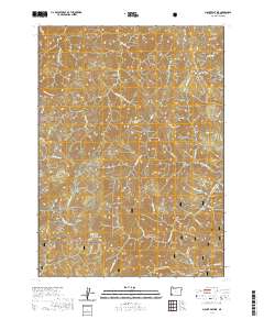 Mount Peavine 2020 topographic map thumbnail