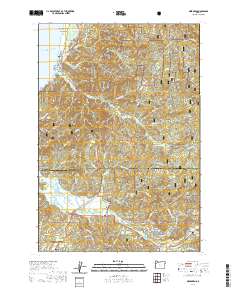 Neskowin 2020 topographic map thumbnail