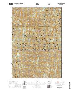 Niagara Creek 2020 topographic map thumbnail