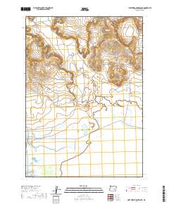 Northwest Harney Lake 2020 topographic map thumbnail