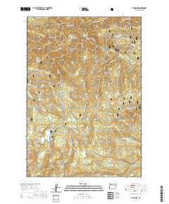 Olive Lake 2020 topographic map thumbnail