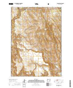 Otis Mountain 2020 topographic map thumbnail