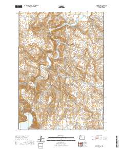 Owyhee Dam 2020 topographic map thumbnail