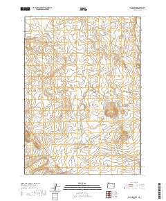 Palomino Lake 2020 topographic map thumbnail