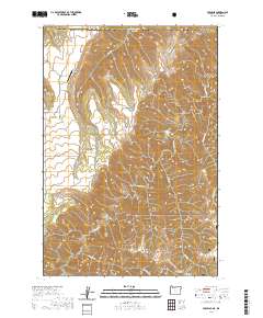 Paradise 2020 topographic map thumbnail