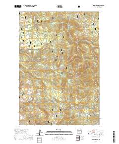 Pearson Ridge 2020 topographic map thumbnail