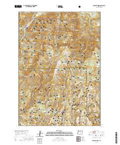 Peterson Point 2020 topographic map thumbnail