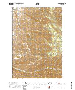 Peterson Ridge 2020 topographic map thumbnail