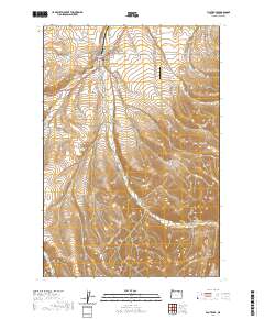 Pilot Rock 2020 topographic map thumbnail