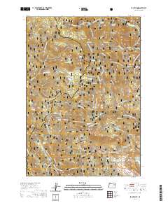 Pogue Point 2020 topographic map thumbnail