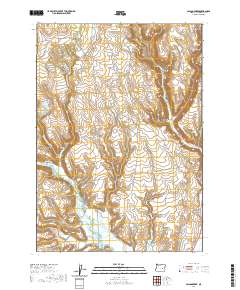 Poison Creek 2020 topographic map thumbnail