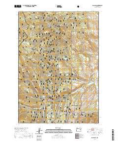 Rail Gulch 2020 topographic map thumbnail