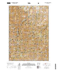 Rastus Mountain 2020 topographic map preview