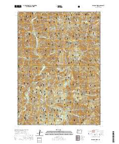 Reynolds Ridge 2020 topographic map thumbnail