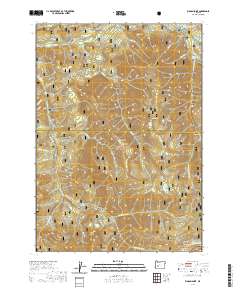Rigdon Point 2020 topographic map thumbnail