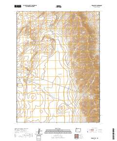 Rincon Flat 2020 topographic map thumbnail