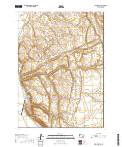 Roaring Springs 2020 topographic map thumbnail