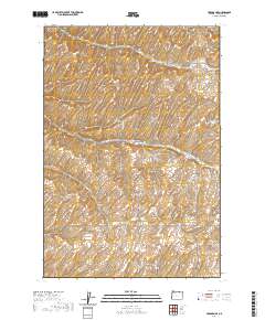 Holdman SE 2020 topographic map thumbnail