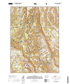 Holmes Canyon 2020 topographic map thumbnail