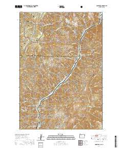 Homestead 2020 topographic map thumbnail