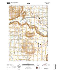 Houston Lake 2020 topographic map thumbnail