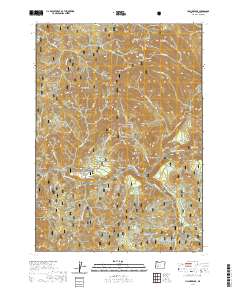 Illahee Rock 2020 topographic map thumbnail
