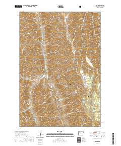 Imnaha 2020 topographic map thumbnail