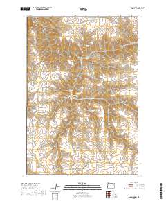 Indian Spring 2020 topographic map thumbnail