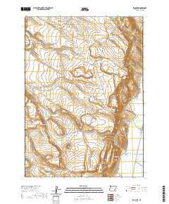 Irish Lake 2020 topographic map thumbnail