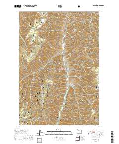 Jaynes Ridge 2020 topographic map thumbnail