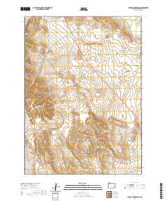 Johnny Creek Spring 2020 topographic map thumbnail
