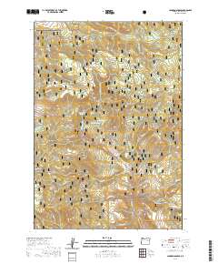 Johnson Saddle 2020 topographic map thumbnail