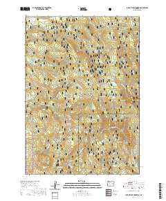 Jump-off Joe Mountain 2020 topographic map thumbnail