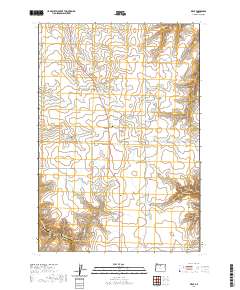 Kent 2020 topographic map thumbnail