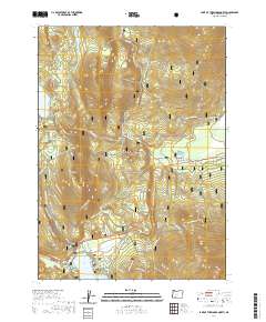 Lake of the Woods North 2020 topographic map thumbnail