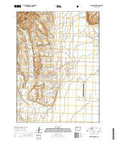 Lakeview Airport 2020 topographic map thumbnail