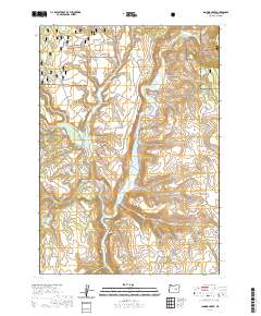 Landing Creek 2020 topographic map thumbnail