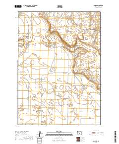 Lane Lake 2020 topographic map thumbnail