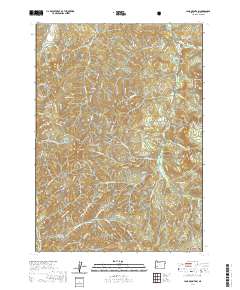 Lane Mountain 2020 topographic map thumbnail