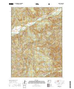 Leaburg 2020 topographic map thumbnail