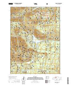 Lemolo Lake 2020 topographic map thumbnail