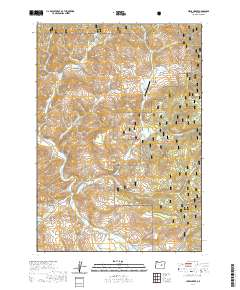 Lewis Creek 2020 topographic map thumbnail