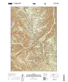 Lick Creek 2020 topographic map thumbnail