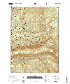Linton Lake 2020 topographic map thumbnail