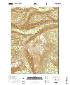 Lionshead 2020 topographic map thumbnail