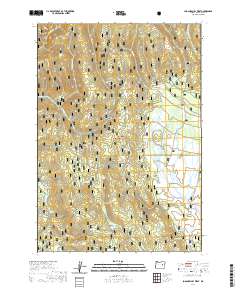 Logan Valley West 2020 topographic map thumbnail
