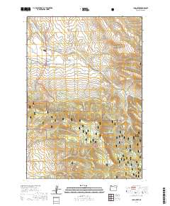 Long Creek 2020 topographic map thumbnail