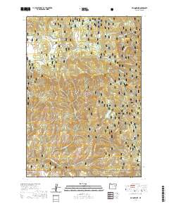 Magone Lake 2020 topographic map thumbnail